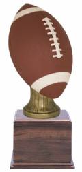 16" Fantasy Football Award - Full Color Resin